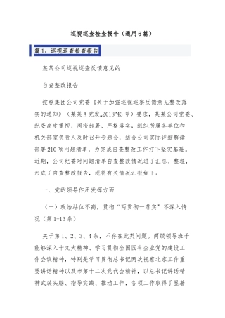 巡视巡查检查报告（通用6篇）