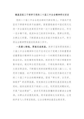 镇基层组工干部学习党的二十届三中全会精神研讨发言