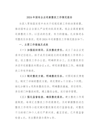2024年国有企业巡察整改工作情况报告