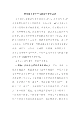 党委理论学习中心组巡听旁听点评