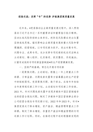 经验交流：发挥“专”的优势 护航集团高质量发展