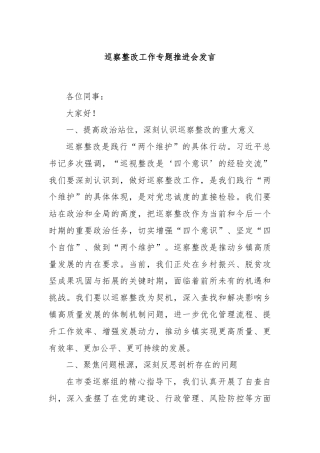 巡察整改工作专题推进会发言