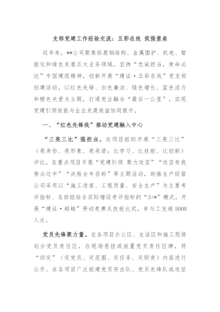 支部党建工作经验交流：五彩在线 筑强堡垒