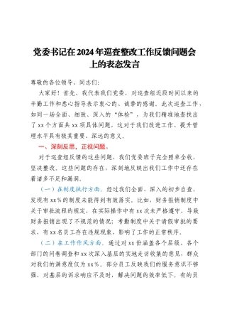 党委书记在2024年巡查整改工作反馈问题会上的表态发言