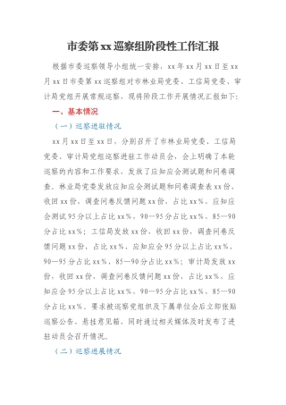 市委第xx巡察组阶段性工作汇报