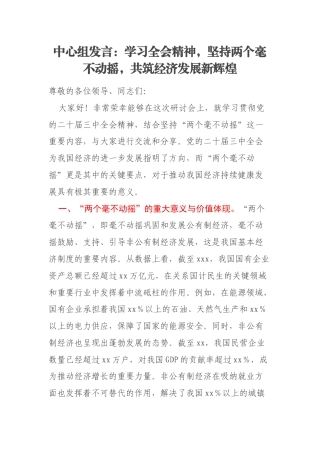 中心组发言：学习全会精神，坚持两个毫不动摇，共筑经济发展新辉煌