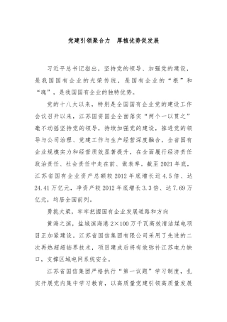 党建引领聚合力  厚植优势促发展