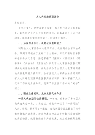 某人大代表述职报告
