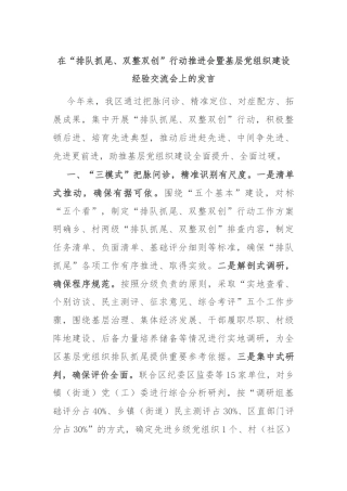 在“排队抓尾、双整双创”行动推进会暨基层党组织建设经验交流会上的发言