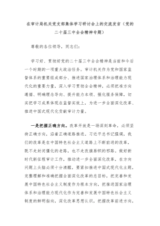 在审计局机关党支部集体学习研讨会上的交流发言（党的二十届三中全会精神专题）