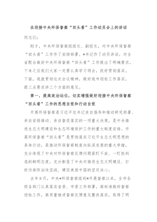 在迎接中央环保督察“回头看”工作动员会上的讲话