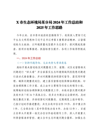 X市生态环境局某分局2024年工作总结和2025年工作思路