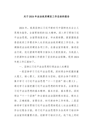关于2024年法治政府建设工作总结的报告