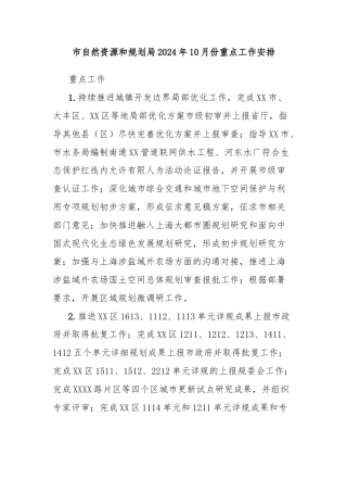 市自然资源和规划局2024年10月份重点工作安排