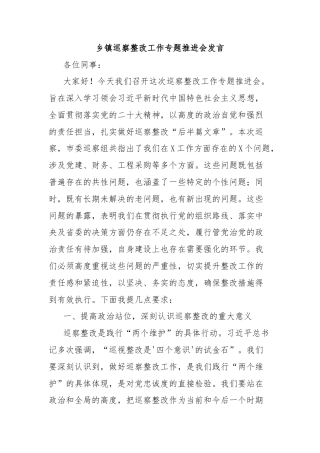 乡镇巡察整改工作专题推进会发言