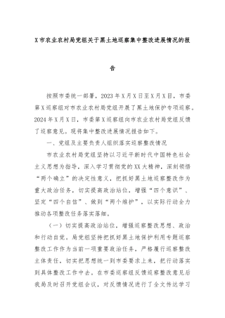 X市农业农村局党组关于黑土地巡察集中整改进展情况的报告