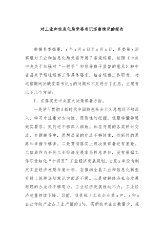 对工业和信息化局党委书记巡察情况的报告