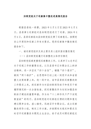 妇联党组关于巡察集中整改进展情况报告
