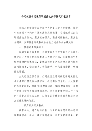 公司纪委书记履行巡视整改责任情况汇报发言