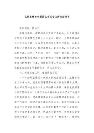 在巡察整改专题民主生活会上的总结发言