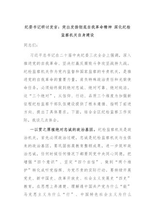 纪委书记研讨发言：突出发扬彻底自我革命精神 深化纪检监察机关自身建设