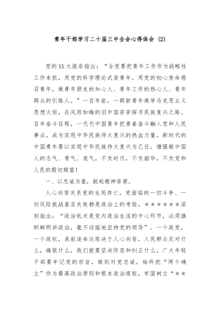 青年干部学习二十届三中全会心得体会 (2)