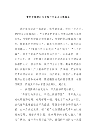青年干部学习二十届三中全会心得体会