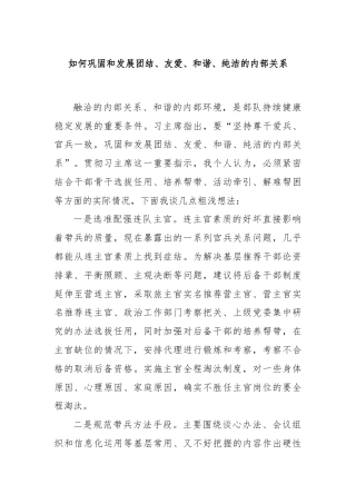 如何巩固和发展团结、友爱、和谐、纯洁的内部关系