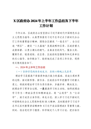 X区政府办2024年上半年工作总结及下半年工作计划