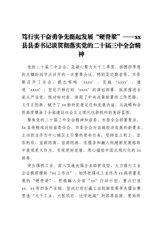 笃行实干奋勇争先 挺起发展“硬脊梁”——xx县县委书记谈贯彻落实党的二十届三中全会精神