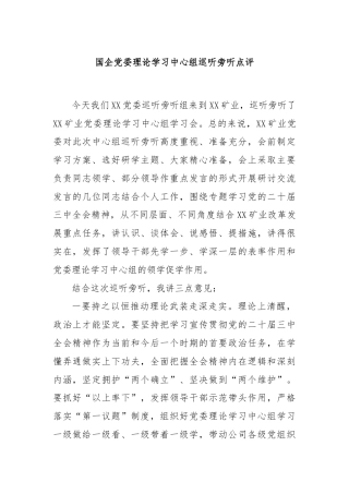 国企党委理论学习中心组巡听旁听点评