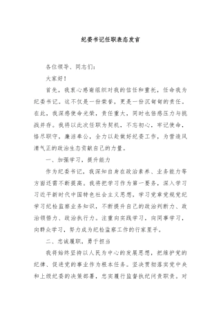 纪委书记任职表态发言