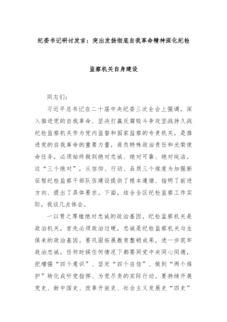 纪委书记研讨发言：突出发扬彻底自我革命精神深化纪检监察机关自身建设