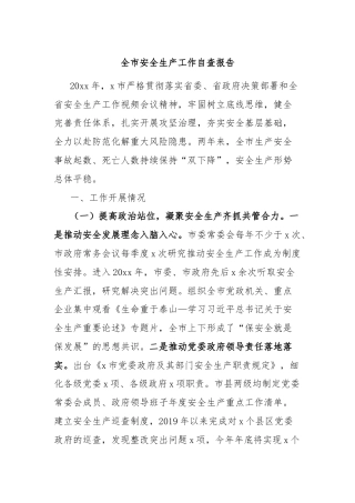 全市安全生产工作自查报告