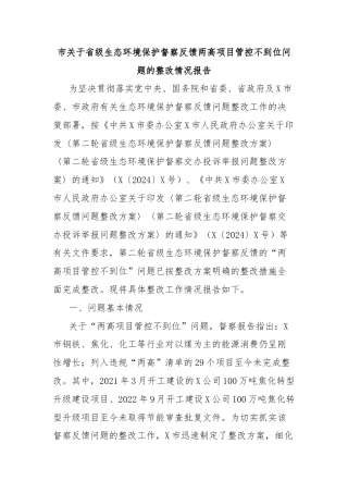 市关于省级生态环境保护督察反馈两高项目管控不到位问题的整改情况报告