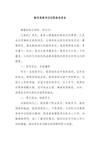 新任党委书记任职表态发言