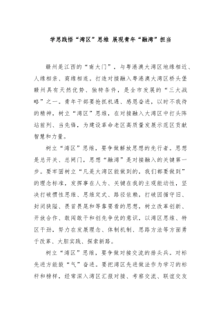 学思践悟“湾区”思维 展现青年“融湾”担当