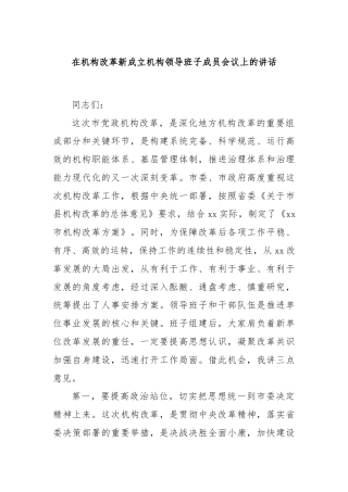 在机构改革新成立机构领导班子成员会议上的讲话