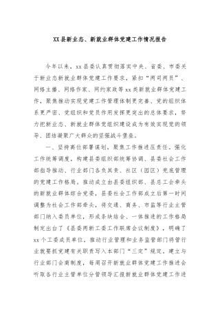 XX县新业态、新就业群体党建工作情况报告