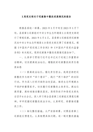 X局党支部关于巡察集中整改进展情况的报告