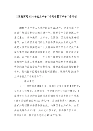 X区能源局2024年度上半年工作总结暨下半年工作计划