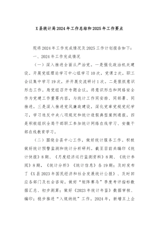 X县统计局2024年工作总结和2025年工作要点