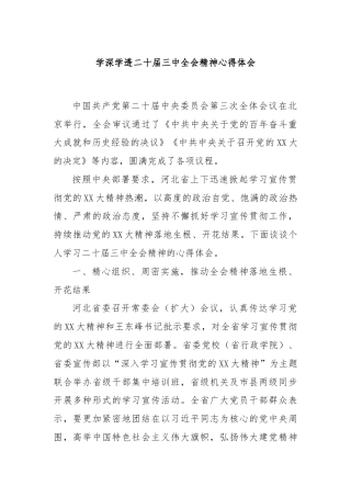 学深学透二十届三中全会精神心得体会