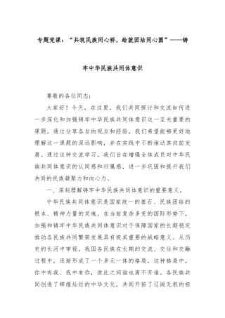 专题党课：“共筑民族同心桥，绘就团结同心圆”——铸牢中华民族共同体意识