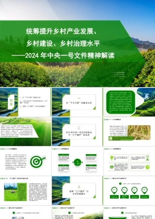 2024年中央一号文件精神解读模板（PPT）