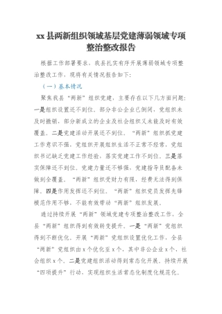 xx县两新组织领域基层党建薄弱领域专项整治整改报告