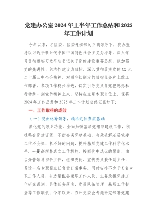 党建办公室2024年上半年工作总结和2025年工作计划