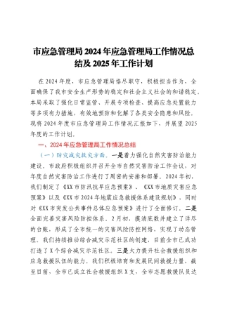 市应急管理局2024年应急管理局工作情况总结及2025年工作计划
