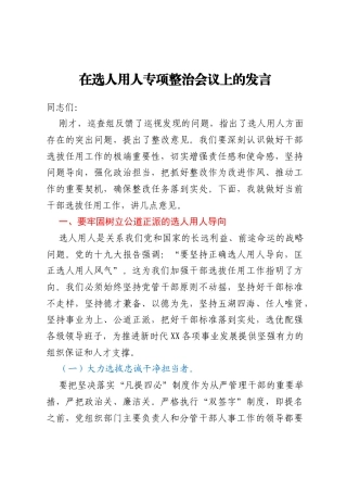 在选人用人专项整治会议上的发言