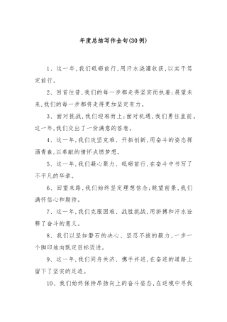 (30例)年度总结写作金句